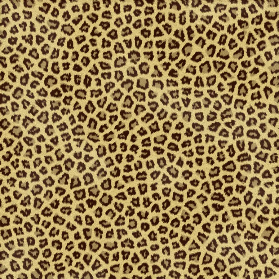 Fur of a Leopard Background Texture