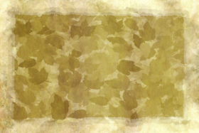 framed grunge leaves abstract old parchment paper