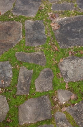 Two images of stone path pavers and moss or grass