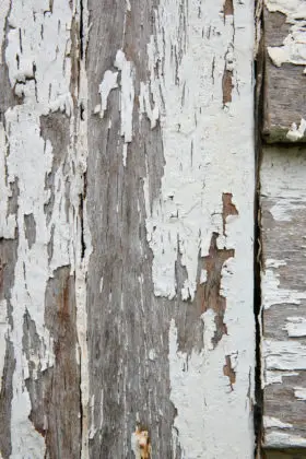 another grungy wooden wall background texture