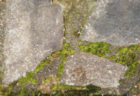 stones and moss paved path background texture image