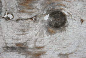 Another free texture photo of white painted wood