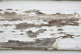 another free textures background photo of rough white painted wood