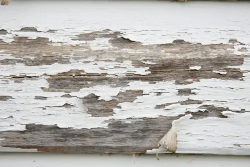another free textures background photo of white painted wood