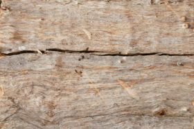 old log wooden texture