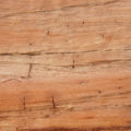 excellent closeup of a cut tree log wood texture