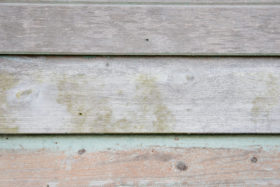 old wooden wall background image