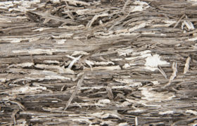 Wood background of really rough old rotting wood texture