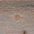 rough old wood free background texture