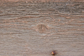 wooden background of rough old wood