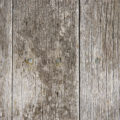 rough old wood free background texture