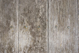 old wood plank texture