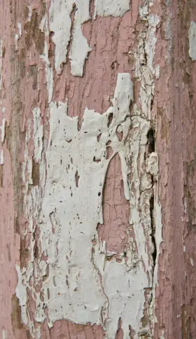 rough old wood with peeling paint background texture