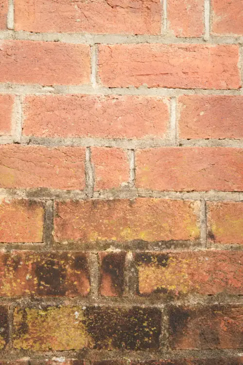 free red brick wall background texture