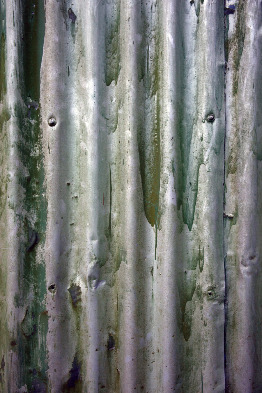 old corrugated iron background texture with green paint