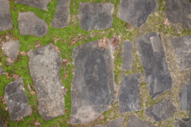 Two photos of a stone path with grass and moss and stuff