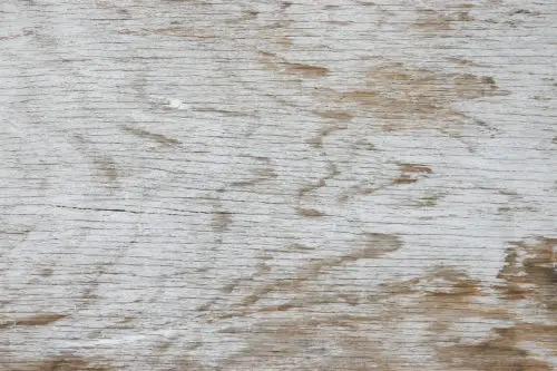 patterns in the old white painted wood texture