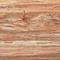 cut wood texture