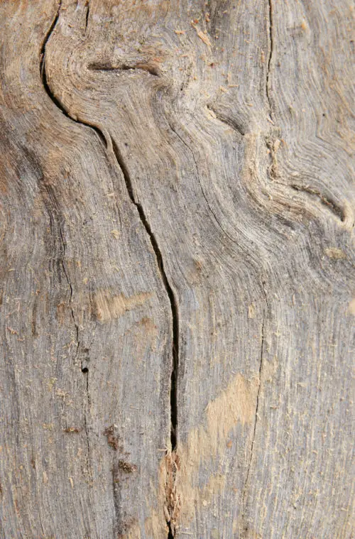 another grey wood background