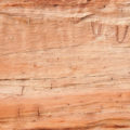 half a log background texture