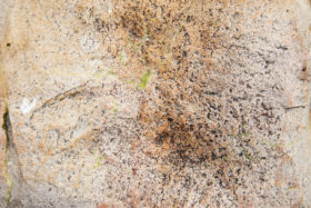 two closeup images of a rock texture / stone background