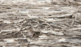 Rotting wood background texture