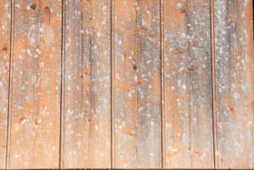 another orange wooden wall stock image