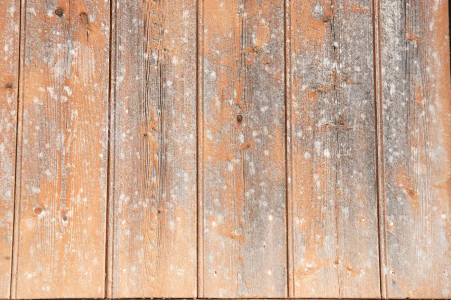 orange wooden wall background texture