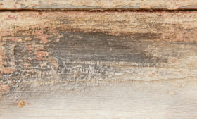 wooden wall close up background texture