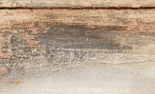 grungy wooden wall background texture