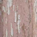 old rough wood background texture