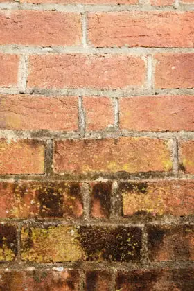 old red brick wall free background texture