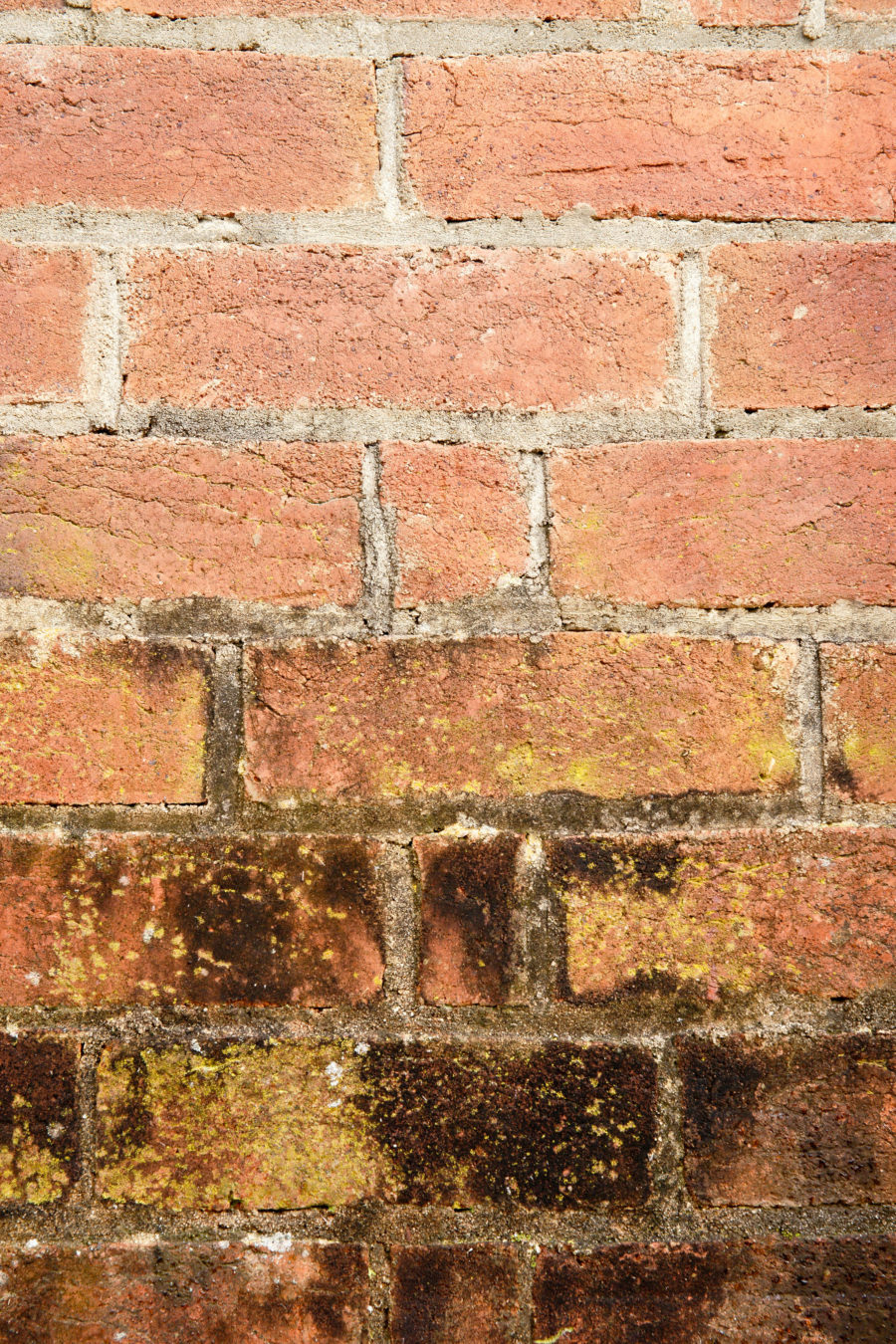 old red brick wall free background texture with grunge bottom half