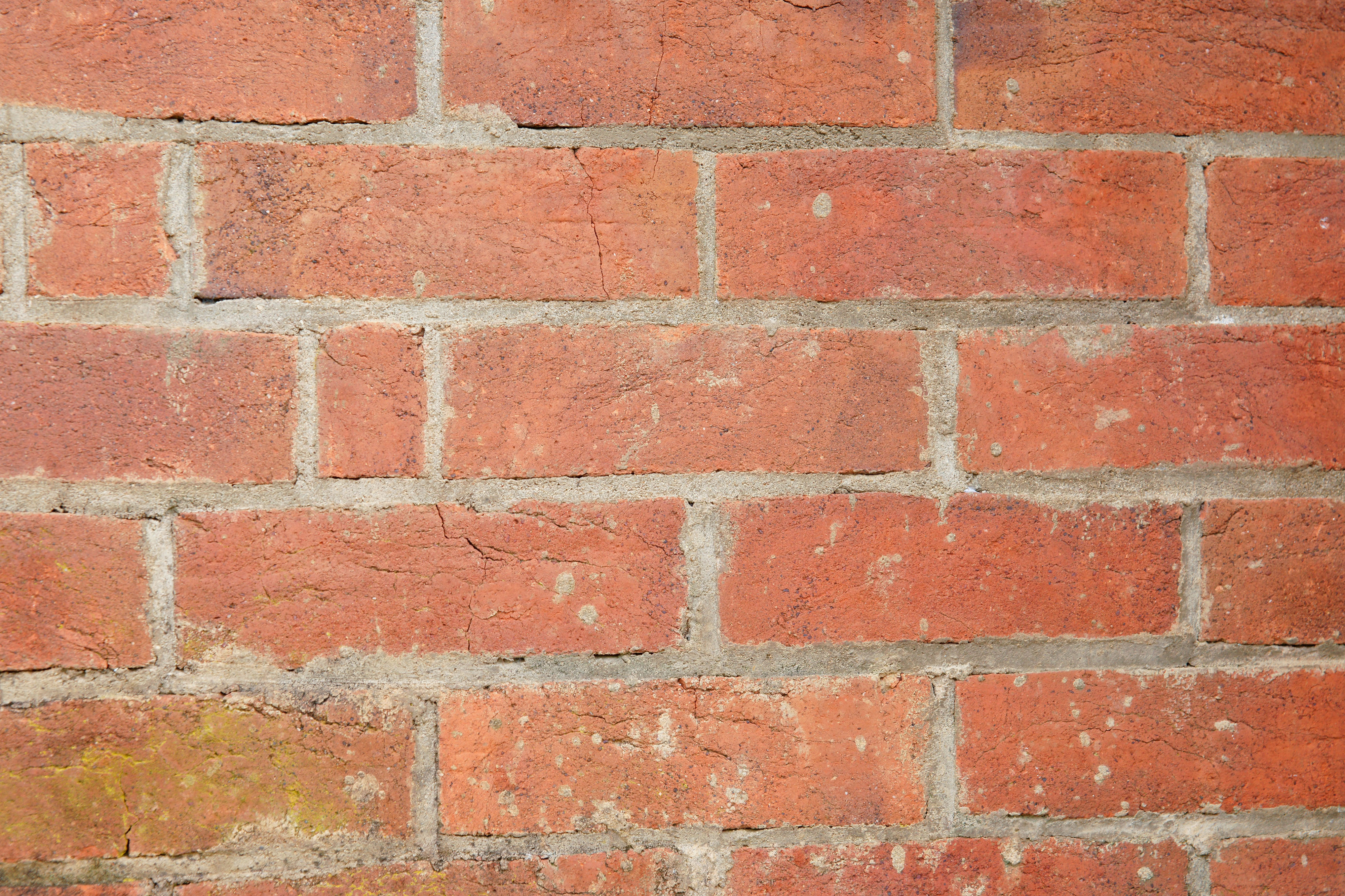 old red brick wall free background photo