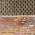 wood and mesh background texture