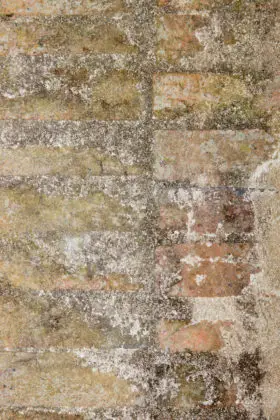 very old brick wall background texture
