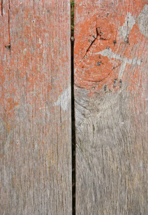 wood background texture