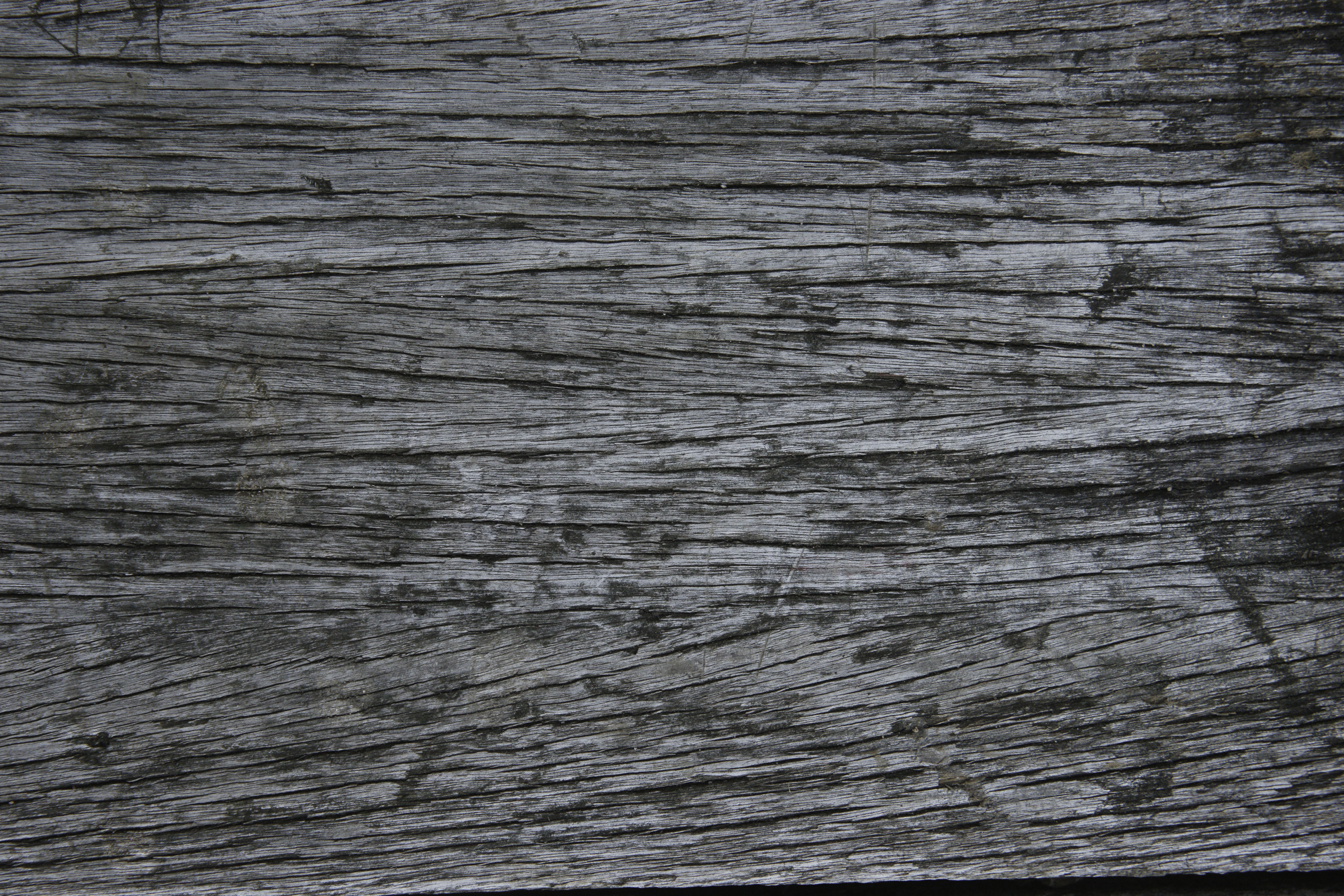 White Painted Wood Texture Seamless Rusty Grunge Background
