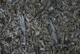 old dry leaves at night background texture