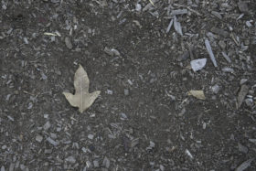 A dirt texture with a bit of grass and stones