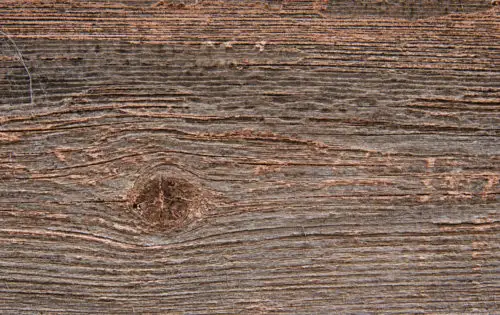 another rough old wood background