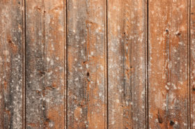 old wooden wall wood background texture
