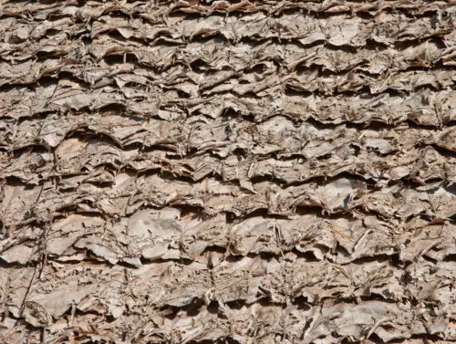 leaf roof texture
