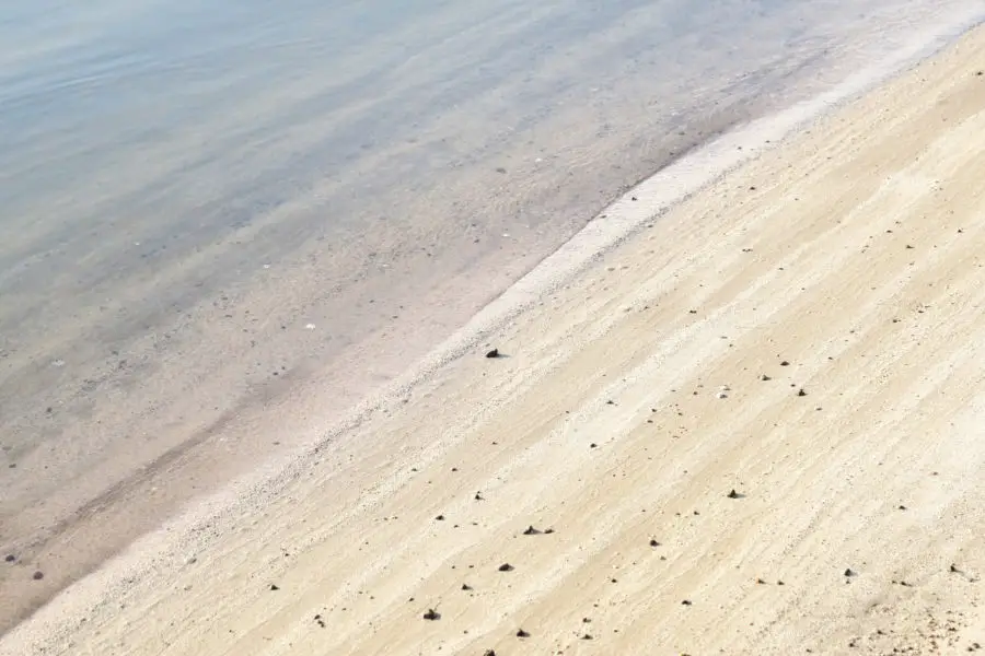 water on the edge of the beach photo