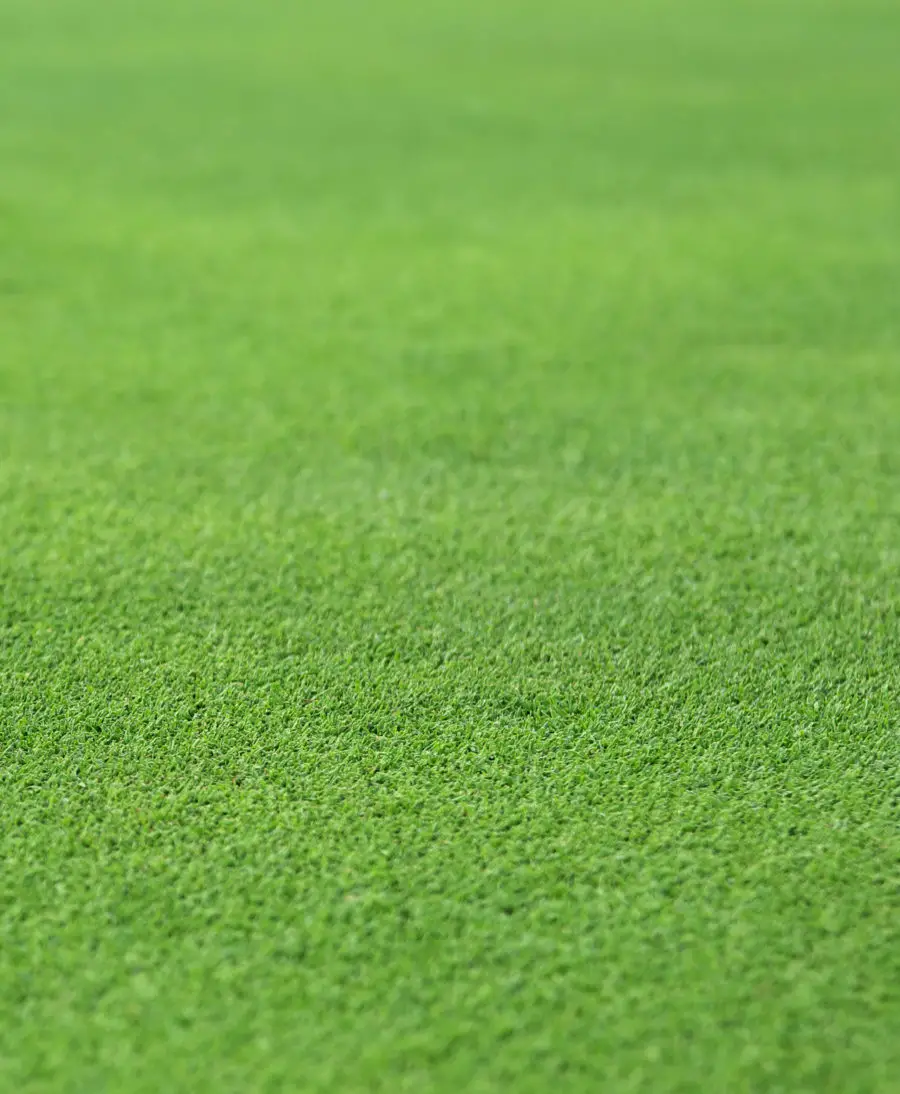 Stock photo of a perfect grass texture from a golf hole green