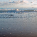 beach scene with waves coming in reaching the sand