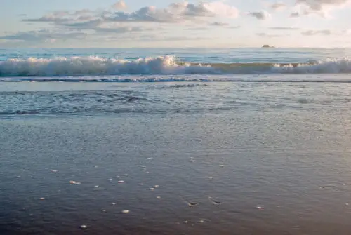 beach scene with waves coming in reaching the sand