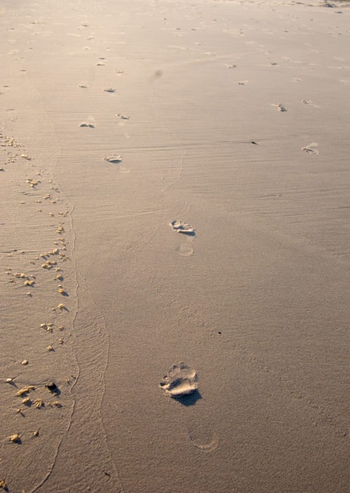 footprints going away on a tropical sandy beach
