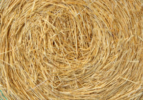 Straw texture – side on view of a round straw bale