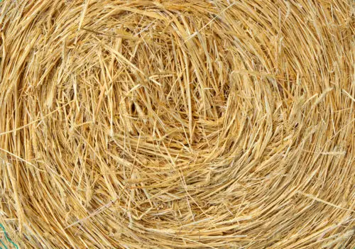 a big round bale of straw texture